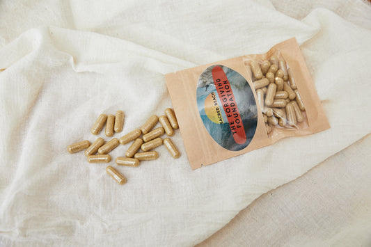 The Forgiving Foundation